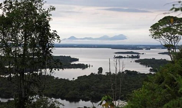 Jelajahi Keindahan Alam Danau Sentarum: Destinasi dan Biaya