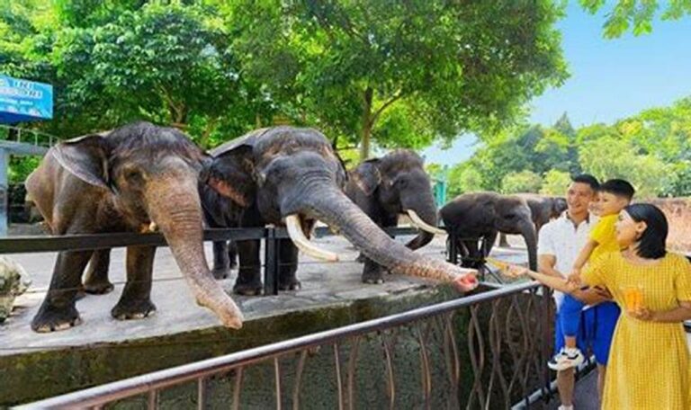 Cari Tahu, Harga Tiket Masuk Batu Secret Zoo Malang Terbaru