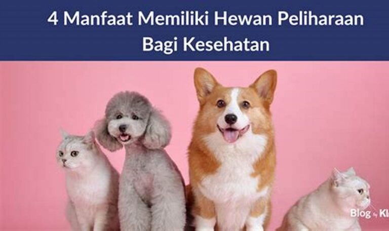 Rasakan Manfaat Luar Biasa Berinteraksi dengan Hewan Peliharaan