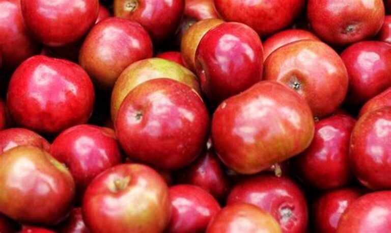 Cegah Risiko Tipes dengan Konsumsi Buah Segar!