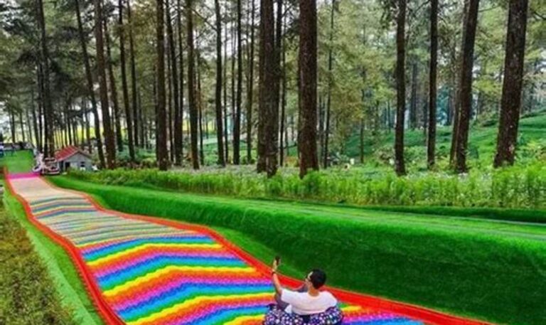 Nikmati Alam, Rasakan Manfaatnya: Habiskan Hari di Luar Ruangan