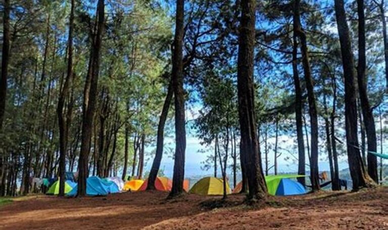 Nikmati Alam Gunung dengan Camping Seru dan Murah