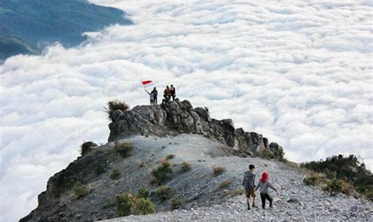 Jelajahi Pesona Gunung Merapi: Rekomendasi Jalur Pendakian dan Tarifnya