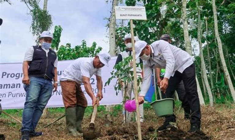 5 Alasan Penting Mengapa Anda Harus Mendukung Program Penanaman Pohon