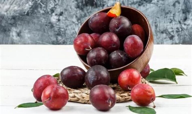 5 Rahasia Buah Plum untuk Pencernaan Lancar Tanpa Hambatan
