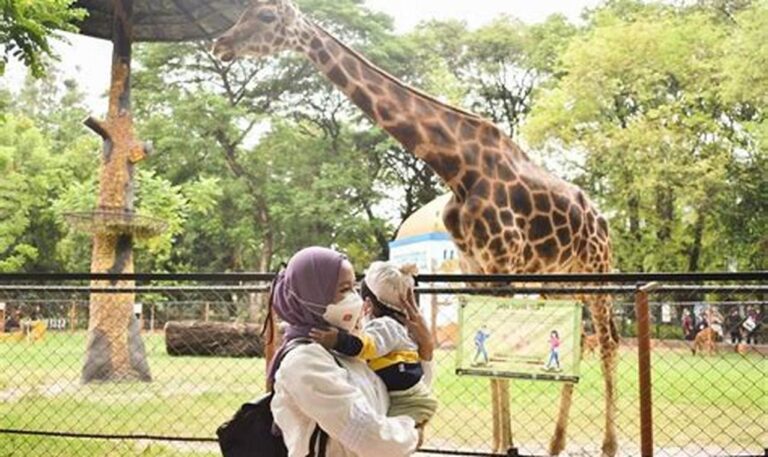 Ketahui Harga Tiket Masuk Kebun Binatang Surabaya Terbaru dan Nikmati Keindahan Satwa!