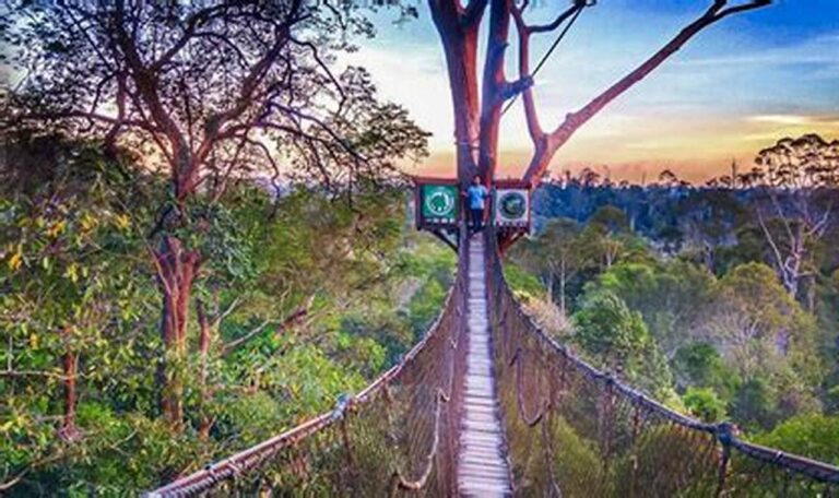 Jelajahi Keajaiban Alam Kalimantan Timur: Rekomendasi Tempat Wisata yang Wajib Dikunjungi