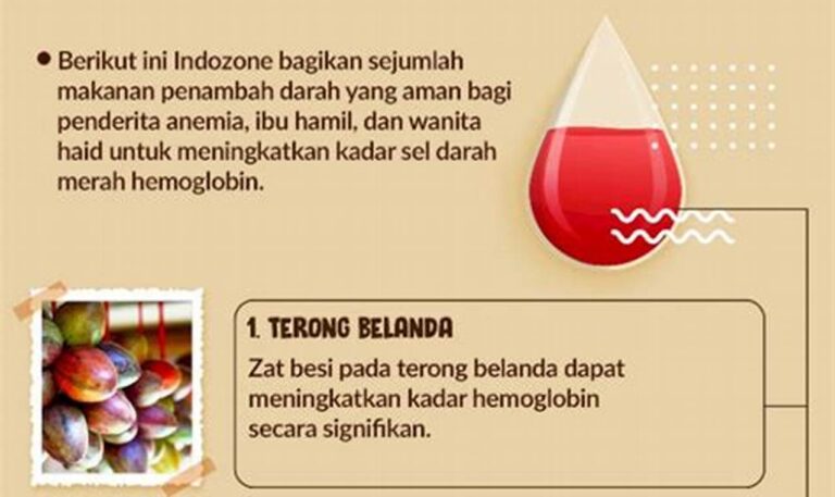 Tingkatkan Produksi Sel Darah Merah dengan Makanan Sehat untuk Manfaat Kesehatan Optimal