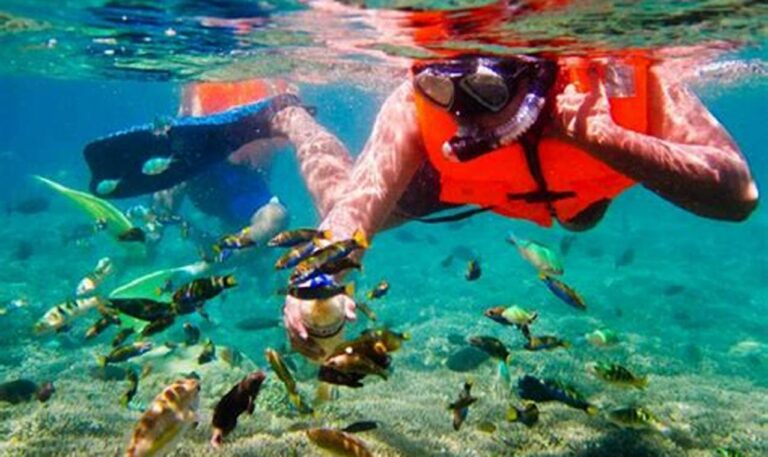 Jelajahi Surga Snorkeling di Lombok: Rekomendasi Tempat yang Wajib Dikunjungi