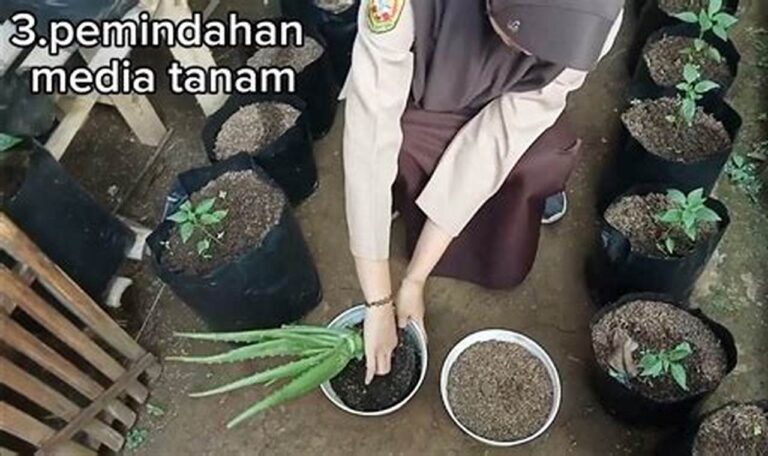 Ungkap Rahasia: Hemat Biaya Pemeliharaan Tanaman Hias