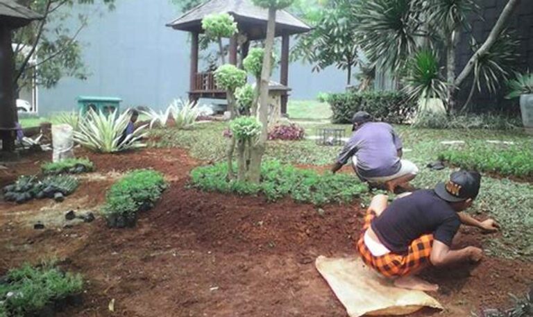 Bongkar Rahasia Hemat Biaya Perawatan Halaman Rumah
