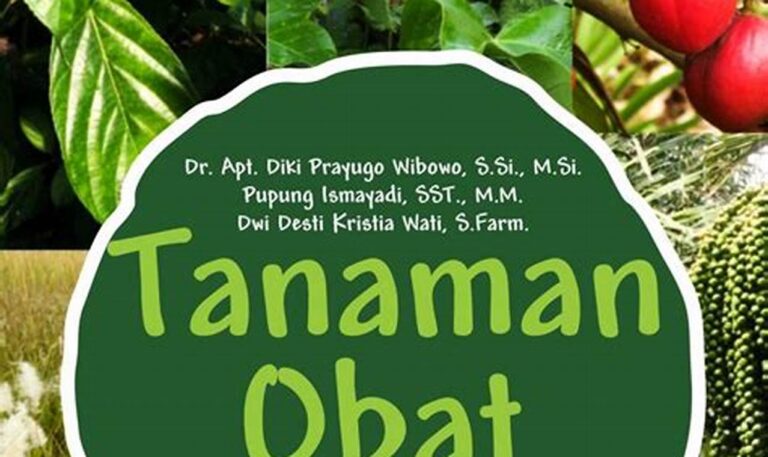 Biaya Tanaman Obat: Panduan Lengkap untuk Mengelola Pengeluaran
