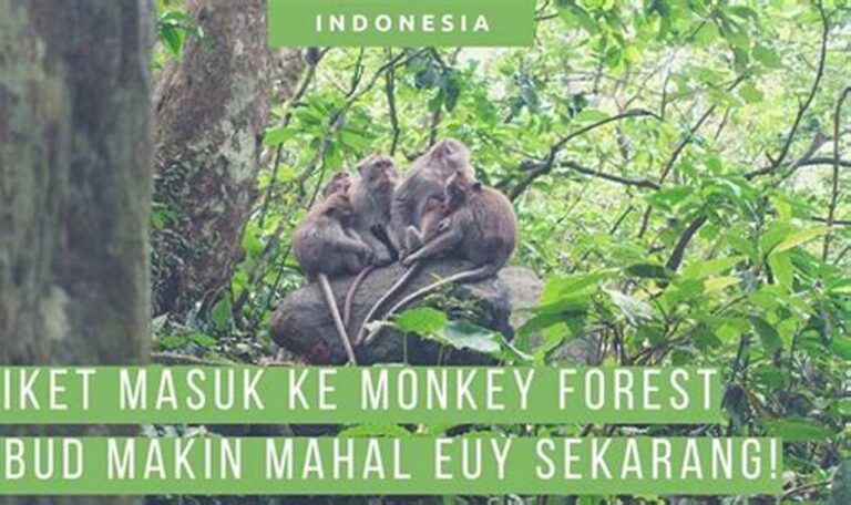 Segera Dapatkan Tiket Masuk ke Monkey Forest Ubud, Nikmati Interaksi Menyenangkan dengan Monyet!