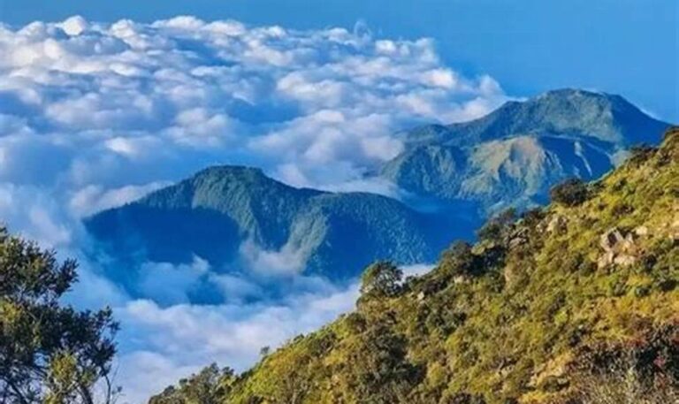 Pendaki Wajib Tahu! Rekomendasi Spot Hiking di Gunung Lawu yang Bikin Adrenalin Naik
