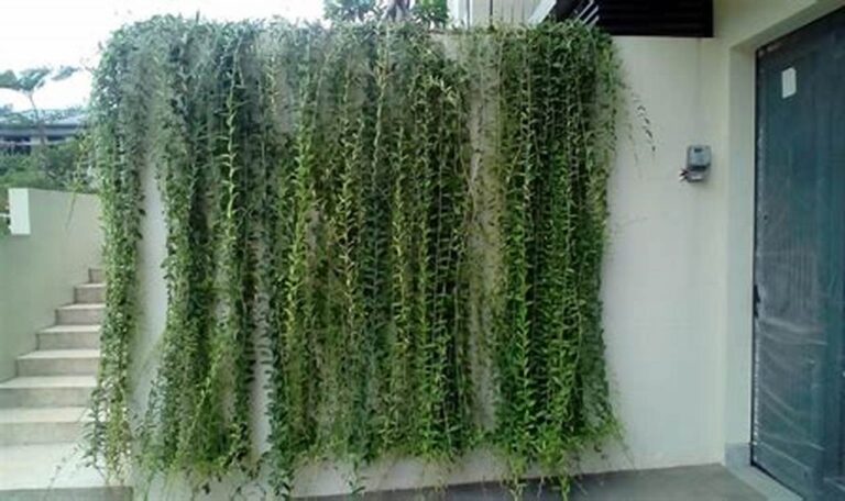 Biaya Pasang Tanaman Hias Dinding: Hemat & Cantik!