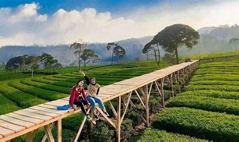 Liburan Hemat di Puncak Bogor: Destinasi, Tips, dan Kuliner