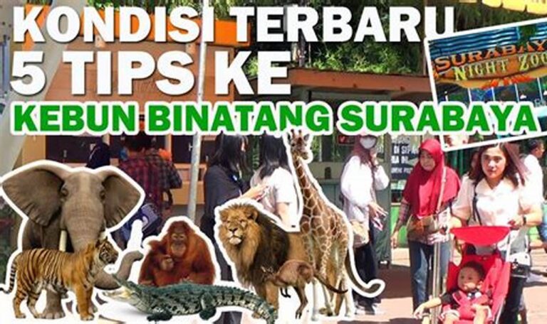Jelajahi Serunya KBS: Tiket Masuk dan Harga Makanan Terkini