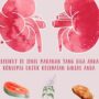 Manfaat Makanan Sehat untuk Kesehatan Ginjal dan Hati: Lindungi Organ Vital Anda!