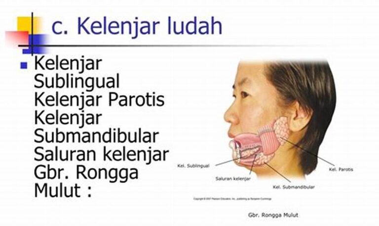 Makanan Sehat, Kunci Kelenjar Ludah Sehat dan Berfungsi Optimal