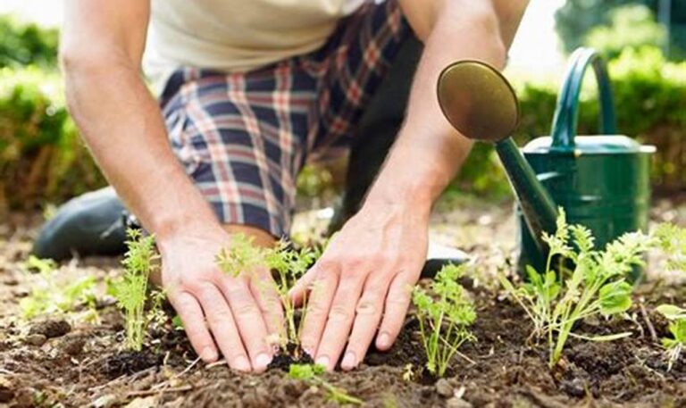 5 Rahasia Kebun untuk Kesehatan Fisik Maksimal