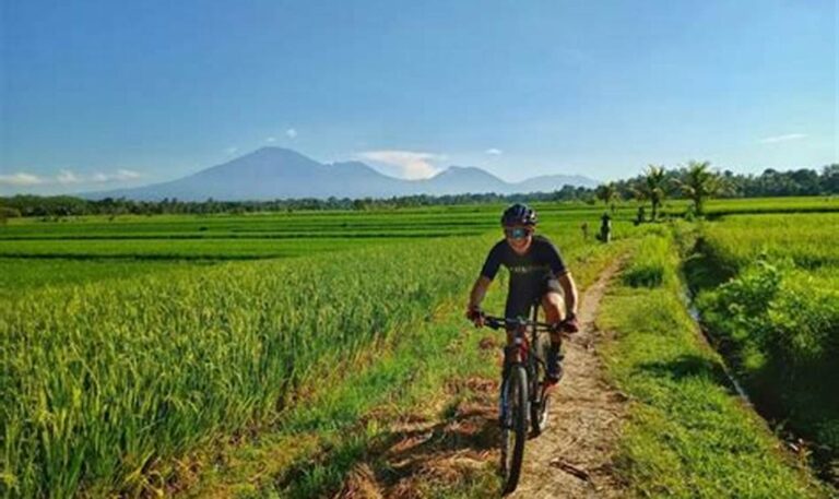 Jelajahi Bali dengan Sepeda: Tempat Bersepeda Terbaik dan Tarif Sewa Terjangkau