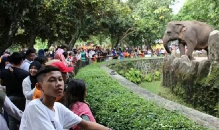 Cari Tahu! Biaya Masuk Kebun Binatang Ragunan untuk Keluarga