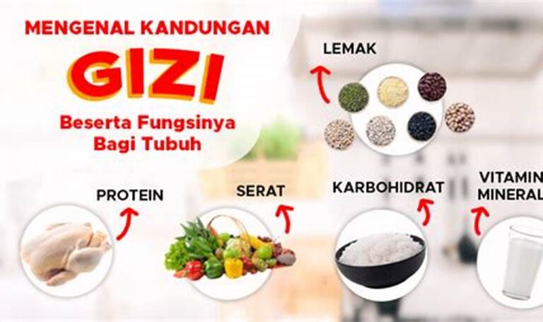Nutrisi Makanan Sehat: Kunci Regenerasi Sel Baru