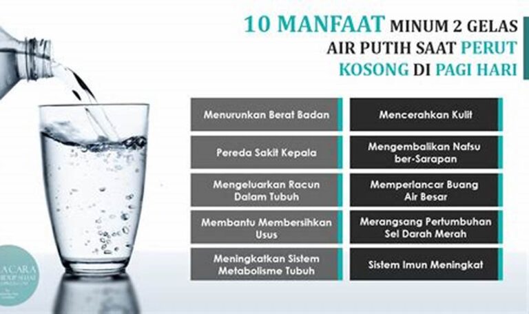 Manfaat Minum Air Putih Cukup: Lindungi Ginjal Anda dari Penyakit