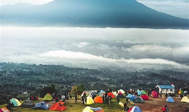 Tempat Camping Hemat di Gunung Gede Pangrango, Panorama Menakjubkan!