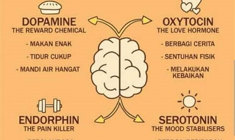 Olahraga untuk Hormon Seimbang, Hidup Sehat