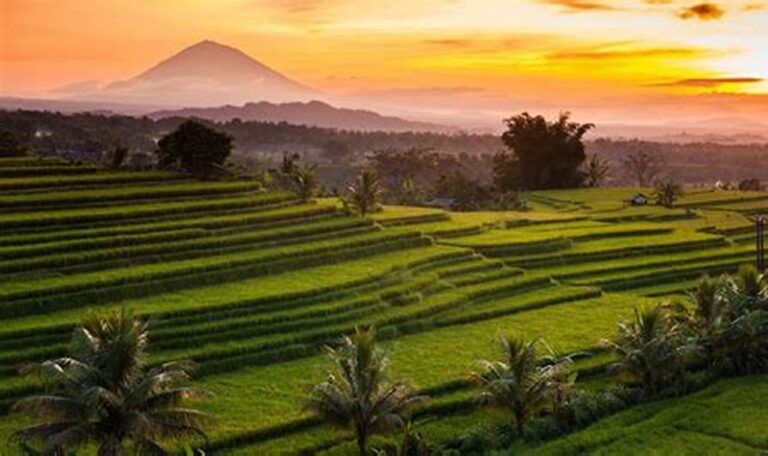 Abadikan Momen Spesialmu di Bidang Pemandangan Bali dengan Foto Drone