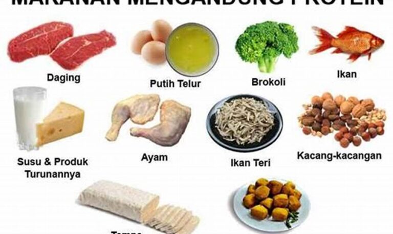 Tingkatkan Pemulihan dengan Makanan Kaya Protein