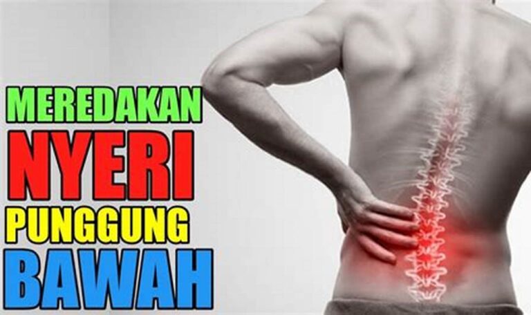 Rasakan Kelegaan dari Nyeri Punggung dan Pinggul dengan Berenang