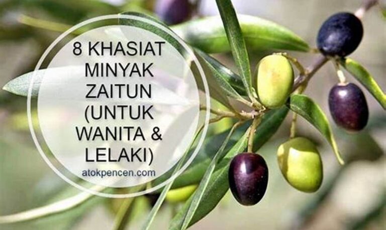 Khasiat Minyak Zaitun: Rahasia Kulit Halus dan Bebas Kering