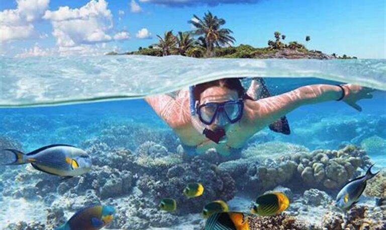 Jelajahi Spot Snorkeling Terbaik di Bali: Panduan Lengkap