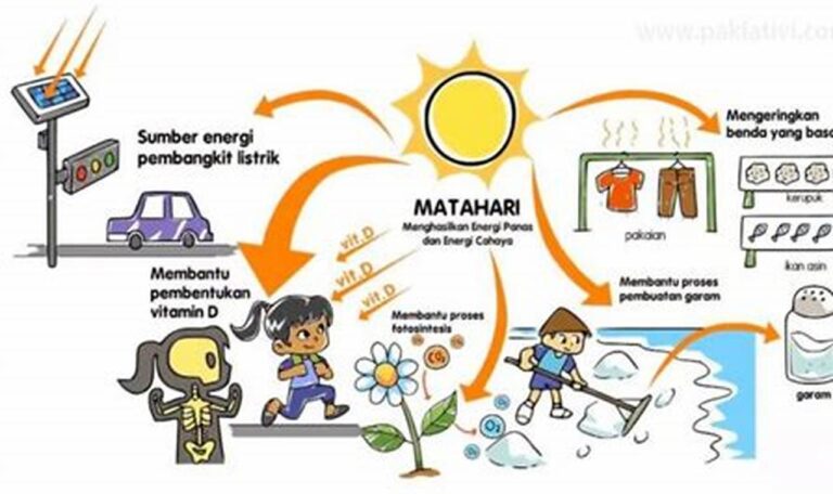 5 Khasiat Sinar Matahari Pagi untuk Kesehatan Anda