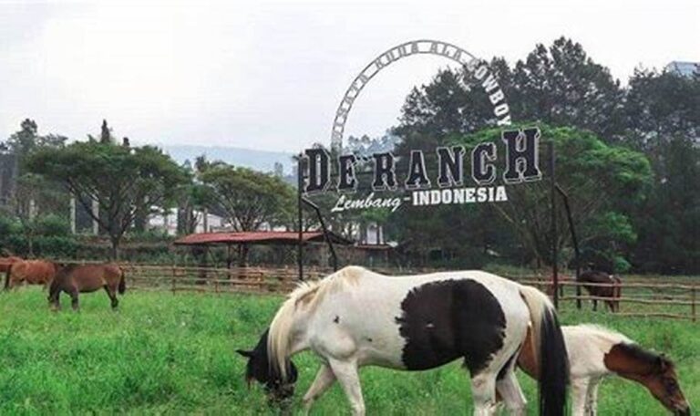 Jelajahi De Ranch Lembang: Daftar Harga Tiket & Aktivitas Seru