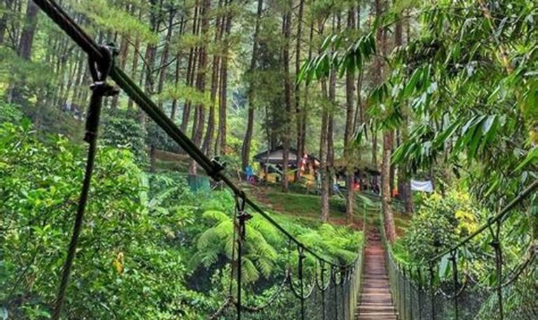 Temukan Harga Tiket Masuk Terbaru ke Kebun Raya Bogor, Nikmati Pesonanya!