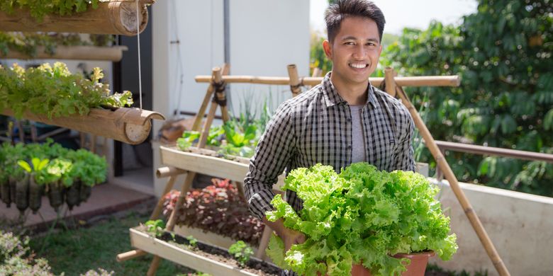 Hemat Biaya Pemeliharaan Taman Sayur