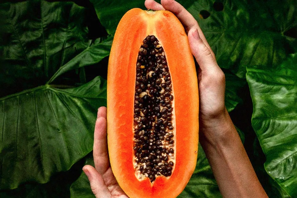 Turunkan Berat Badan Alami dengan si Ajaib Pepaya 1 Turunkan Berat Badan Alami dengan si Ajaib Pepaya