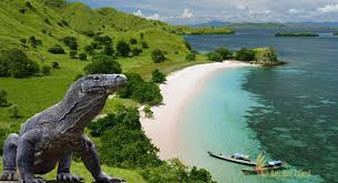 komodo island