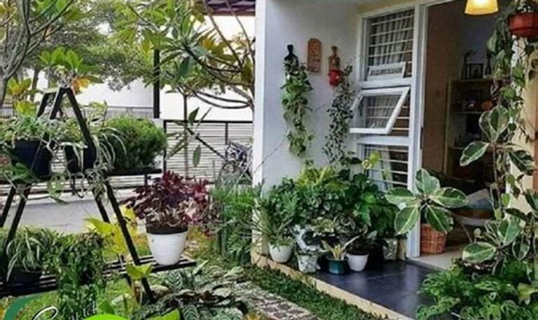 Cara Ampuh Merawat Tanaman Hias di Dalam Rumah, Bikin Subur dan Indah