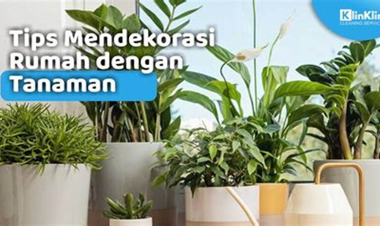 Dekorasi Rumah Bertema Laut: Tips Menciptakan Suasana Santai nan Menyegarkan