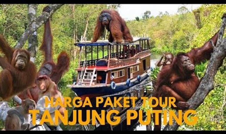 Nikmati Pesona Alam Tanjung Puting dengan Paket Liburan Hemat