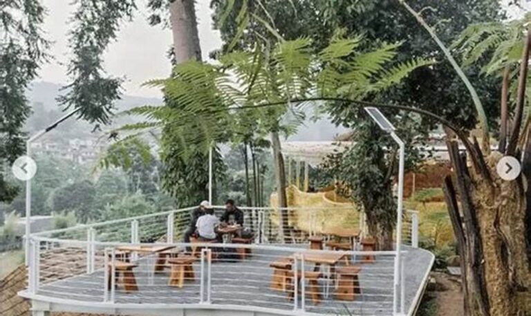 Nikmati Kuliner Enak Tanpa Bikin Kantong Jebol: Tempat Makan Murah Meriah di Sekitar Anda