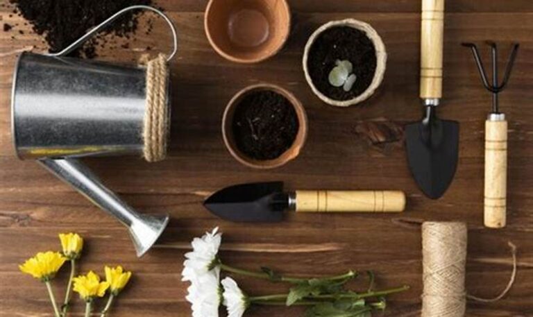 Cara Tepat Memilih Peralatan Berkebun yang Awet dan Nyaman