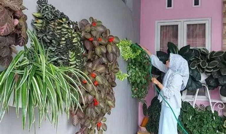 Tips Mudah Merawat Tanaman Hias Outdoor Agar Tumbuh Subur