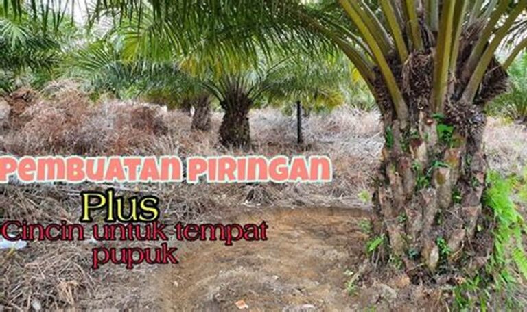 Biaya Perawatan Tanaman Kebun: Panduan Lengkap