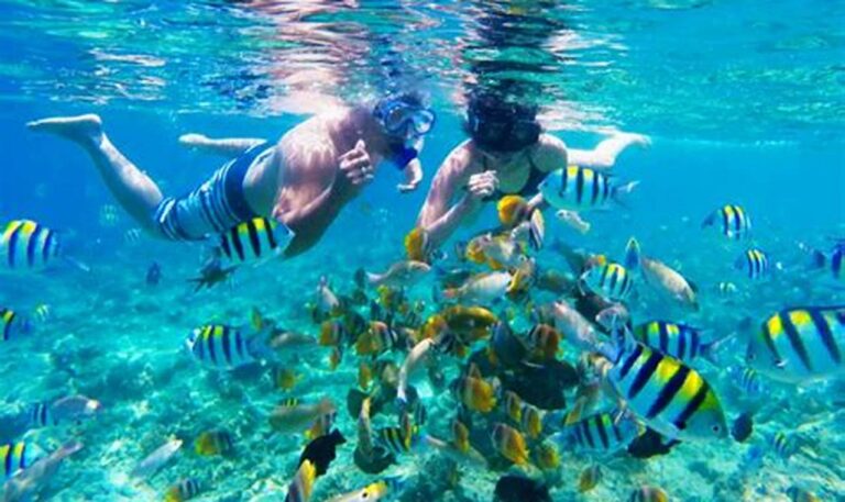 Nikmati Pesona Bawah Laut Gili Trawangan: Spot Snorkeling Terbaik dan Sewa Alat