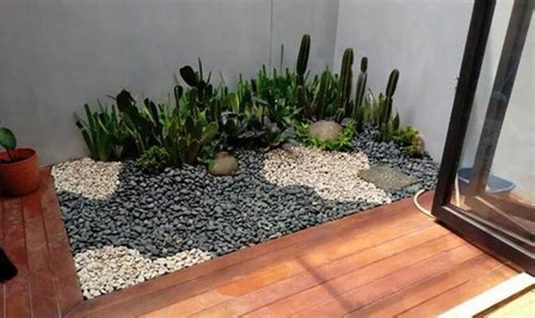 Cara Mudah Bikin Taman Kering di Balkon, Bikin Sejuk dan Cantik!